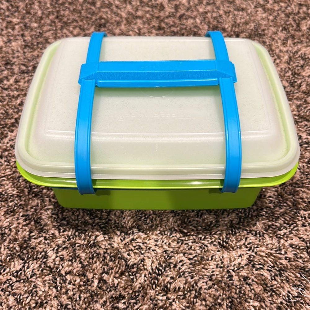 Tupperware Ice Cream Storer